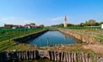 Venice Burano Mazorbo Vineyard Stock Photo