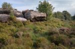 Scenic View Of Brimham Rocks In Yorkshire Dales National Park Stock Photo