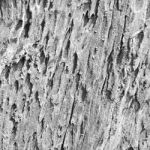 Wood Background Stock Photo