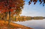 Autumn October Colorful Park. Foliage Trees Alley Stock Photo