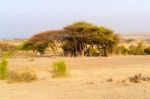 Rural Landscape In Ethiopia Stock Photo