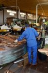 Sao Bras De Alportel, Algarve/portugal - March 9 : Cork Factory Stock Photo