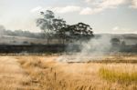 Bush Fire In A Country Town Stock Photo