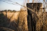 Rusted Sharp Timber And Metal Barb Wire Fence Stock Photo