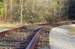 The Rail Road In The Forest Stock Photo