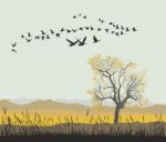 Autumn Migration Of Wild Geese Stock Photo