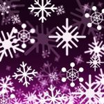 Purple Snowflakes Background Shows Snowing Winter And Seasons
 Stock Photo