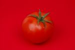 Tomato Stock Photo