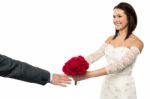 Bride Offering Her Token Of Love To The Groom Stock Photo