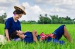 Husband And Wife Thai Farmers In The Rice Field Stock Photo