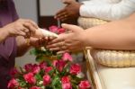 Blessed Water At Thai Wedding Ceremony Stock Photo