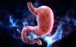 Human Stomach 3d Illustration In Digital Background Stock Photo