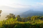 Viewpoint Doi Ang Khang Mountains In Chiang Mai Province Of Thai Stock Photo