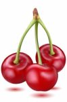 Fresh Cherry Stock Photo