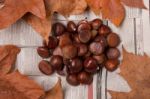 A Bunch Of Sweet Chestnuts Stock Photo