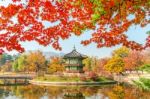 Gyeongbokgung Palace In Autumn,south Korea Stock Photo