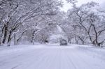 Car And Falling Snow In Winter On Forest Road With Much Snow Stock Photo