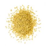 Pile Of Paddy Rice And Rice Seed On The White Background For Isolated Stock Photo