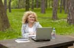 Business Lady Using Laptop In Park Stock Photo