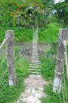 Bridge In The Jungle Stock Photo