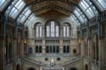 People On A Staircase In The National History Museum In London Stock Photo