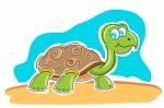 Happy Tortoise Stock Photo