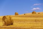 Straw Rolls Stock Photo