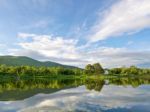 Reflection Of Natural Tree And Sky In A Lake Stock Photo