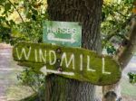 Windmill To The Left And Horses To The Right Stock Photo