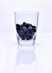 Sweet Blueberry Stock Photo