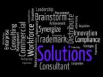 Solutions Word Shows Wordclouds Wordcloud And Solving Stock Photo