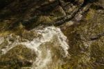 Shell And  Stone For Background Texture Stock Photo