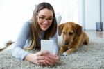 Beautiful Young Woman With Her Dog Using Mobile Phone At Home Stock Photo