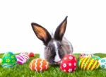 Rabbit With Easter Eggs Isolated On White Background Stock Photo