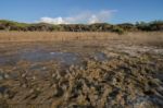 Low Tide Marshland Stock Photo