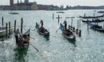 Gondolas Entering The Grand Canal Venice Stock Photo