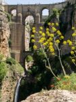 Ronda, Andalucia/spain - May 8 : View Of The New Bridge In Ronda Stock Photo