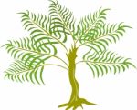 Fern Tree Stock Photo