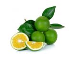 Citrus Sinensis Isolated On The White Background Stock Photo