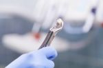 Dental Tools Stock Photo