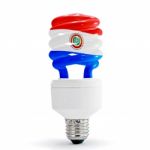 Paraguay Flag On Eco Lamp Stock Photo