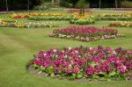 Flowers In The Gardens Near Bury St Edmunds Cathedral Stock Photo