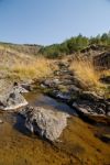 A Stream In Autumn Stock Photo