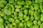 Beans Stock Photo