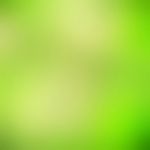 Abstract Green Colour Stock Photo