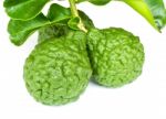 Kaffir Lime With Leaves Stock Photo