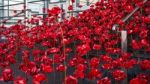 Cardiff/uk - August 27 : Poppies Pouring Out Of The Welsh Assemb Stock Photo