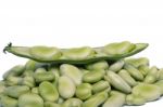 Broad Beans Stock Photo