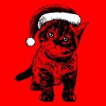 Little Cat, Kitten With Christmas Santa Hat Stock Photo