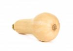 Butternut Squash Isolated Stock Photo